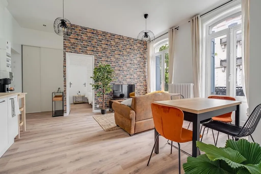 Grand Appartement «  City » Spacieux Et Moderne 생테티엔